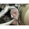 AEM FACTORY - DUCATI PANIGALE / STREETFIGHTER V4 FRAME PLUG KIT PLUS TITANIUM ENGINE / FRAME BOLTS AEM FACTORY - DUCATI PANIGALE / STREETFIGHTER V4 FRAME PLUG KIT PLUS TITANIUM ENGINE / FRAME BOLTS